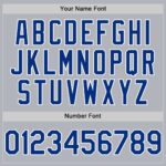 Custom Gray Royal-White Line Authentic Baseball Jersey - Image 3