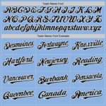 Custom Light Blue Black-White Line Authentic Baseball Jersey - Image 4